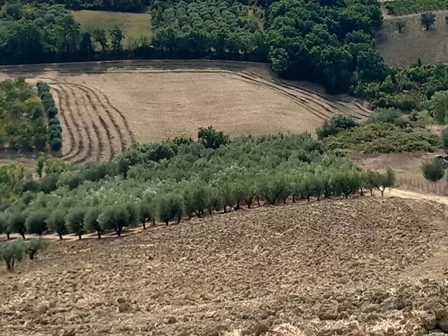 Immagine 8 di Palazzo in vendita  in Strada Vicinale Raganella a Abbateggio