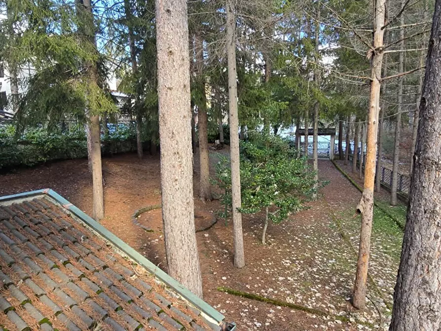 Immagine 20 di Villa in vendita  in via Pescara 10 a Alfedena