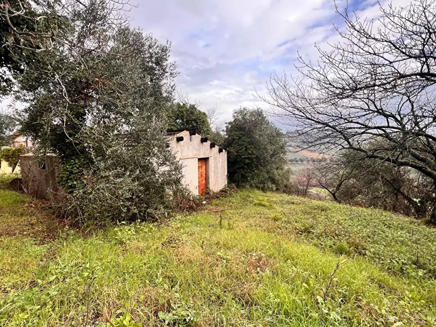 Immagine 16 di Terreno residenziale in vendita  in strada sferrella a Brittoli