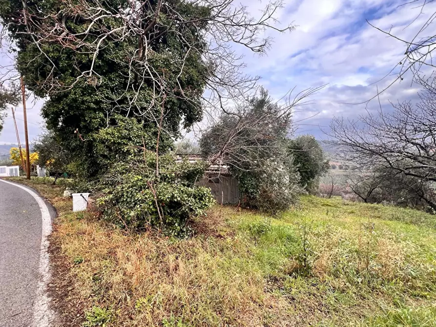 Immagine 14 di Terreno residenziale in vendita  in strada sferrella a Brittoli