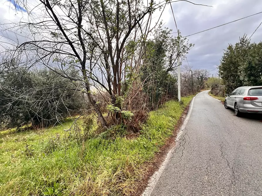 Immagine 15 di Terreno residenziale in vendita  in strada sferrella a Brittoli