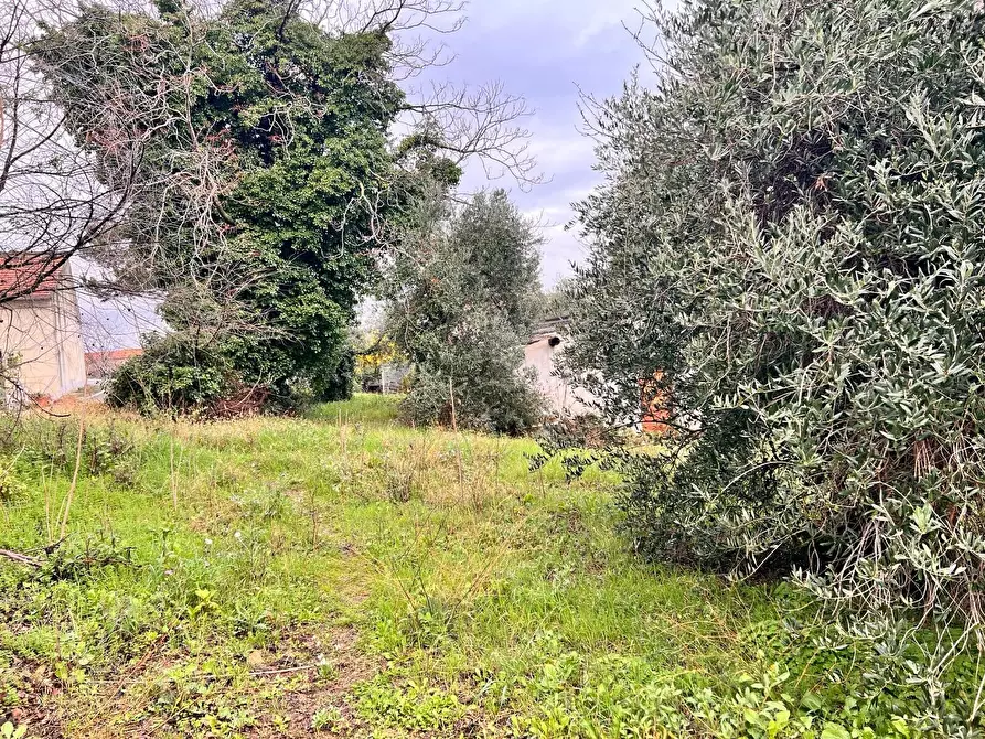 Immagine 2 di Terreno residenziale in vendita  in strada sferrella a Brittoli