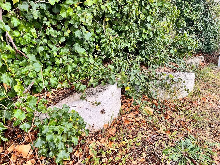 Immagine 11 di Terreno residenziale in vendita  in strada sferrella a Brittoli