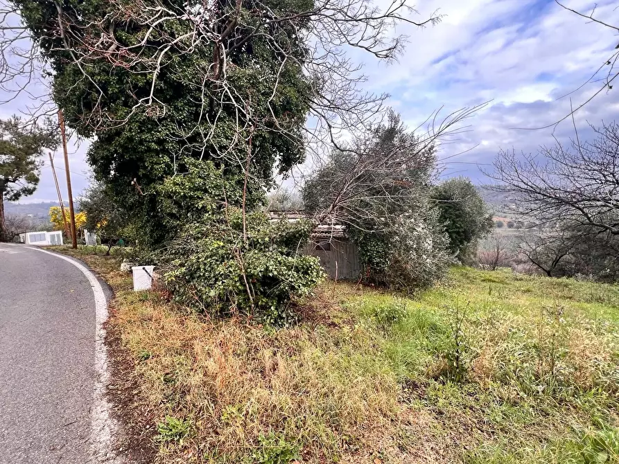 Immagine 10 di Terreno residenziale in vendita  in strada sferrella a Brittoli