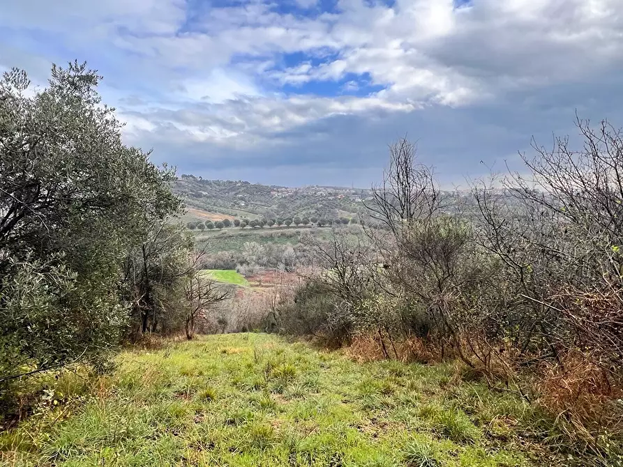 Immagine 17 di Terreno residenziale in vendita  in strada sferrella a Brittoli