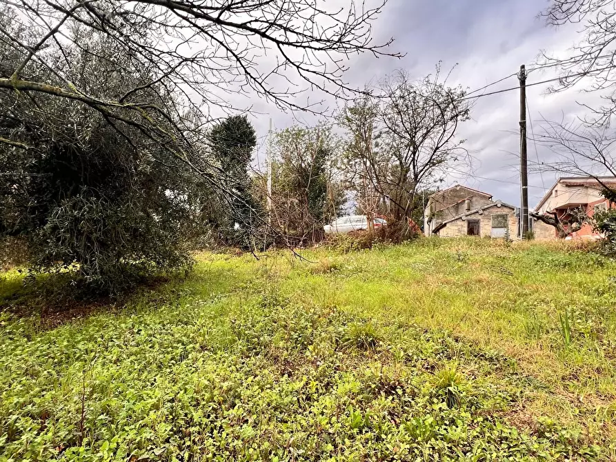 Immagine 9 di Terreno residenziale in vendita  in strada sferrella a Brittoli