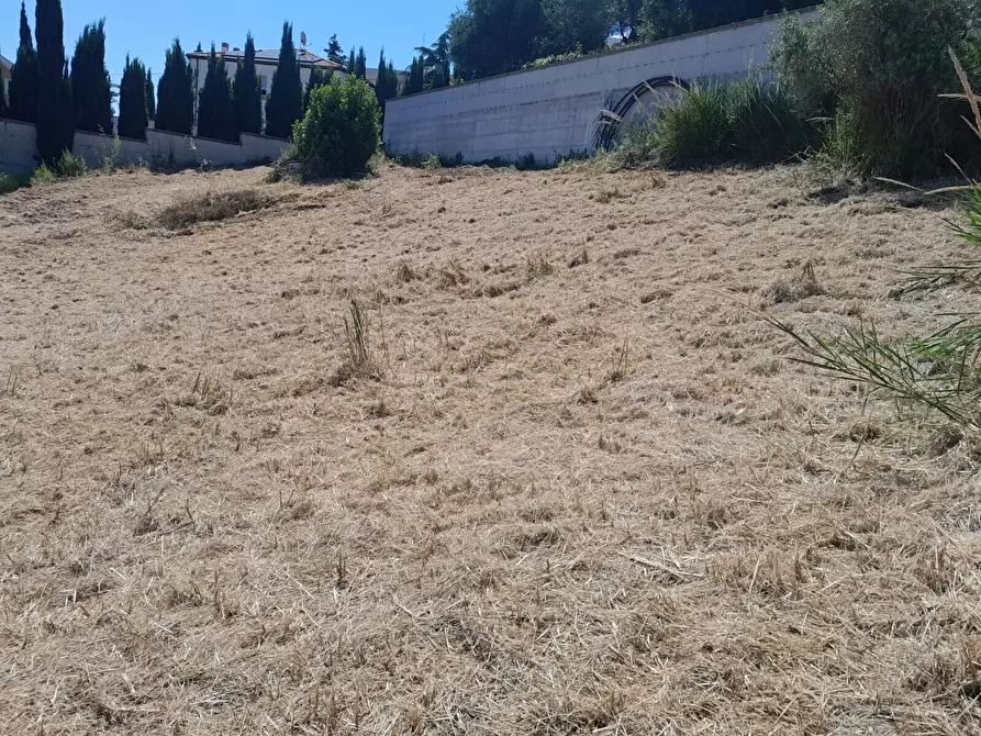 Immagine 2 di Terreno in vendita  in strada del palazzo a Pescara