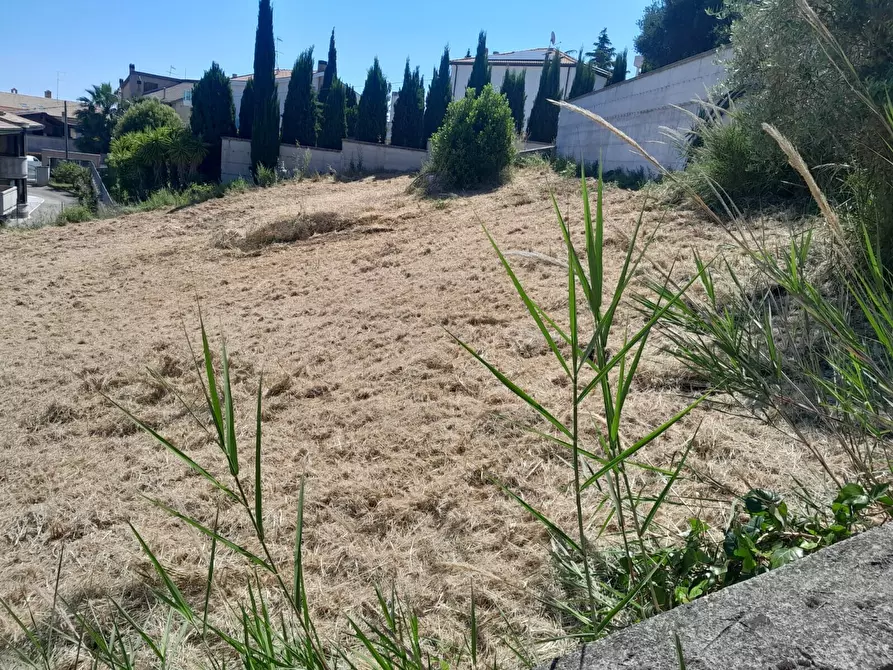 Immagine 6 di Terreno in vendita  in strada del palazzo a Pescara