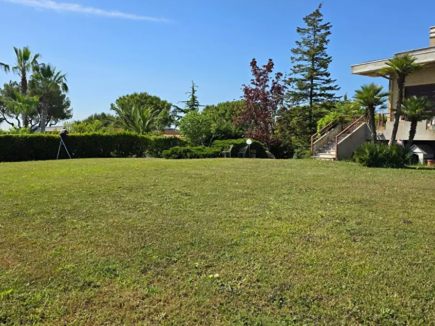 Immagine 6 di Villa in vendita  in via chiappinello a Montesilvano