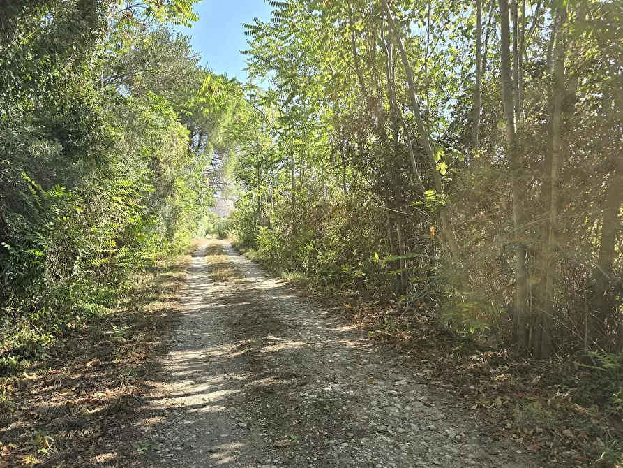 Immagine 21 di Villa in vendita  in via della stazione a Abbateggio