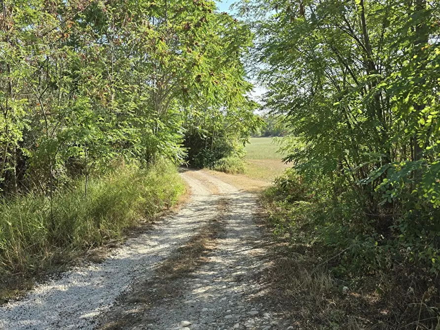 Immagine 26 di Villa in vendita  in via della stazione a Abbateggio