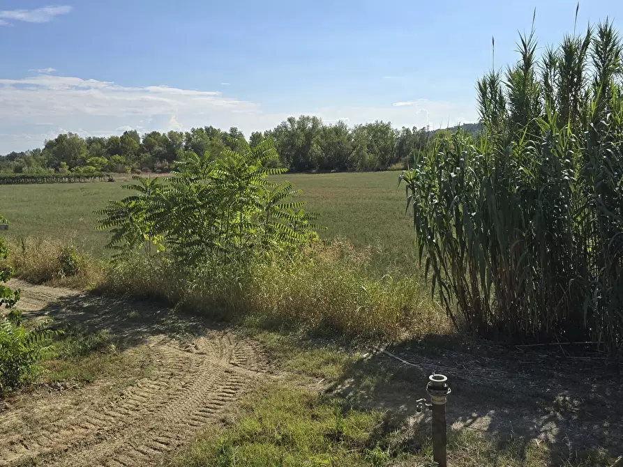 Immagine 5 di Villa in vendita  in via della stazione a Abbateggio