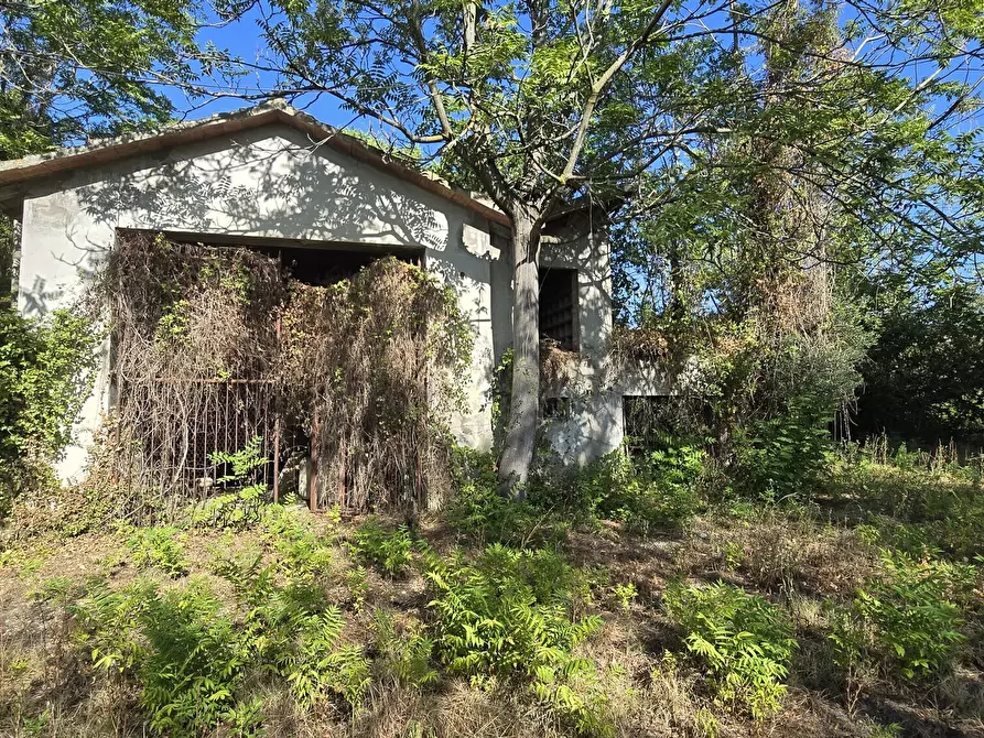 Immagine 9 di Villa in vendita  in via della stazione a Abbateggio