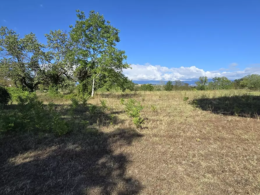 Immagine 13 di Villa in vendita  in via della stazione a Abbateggio