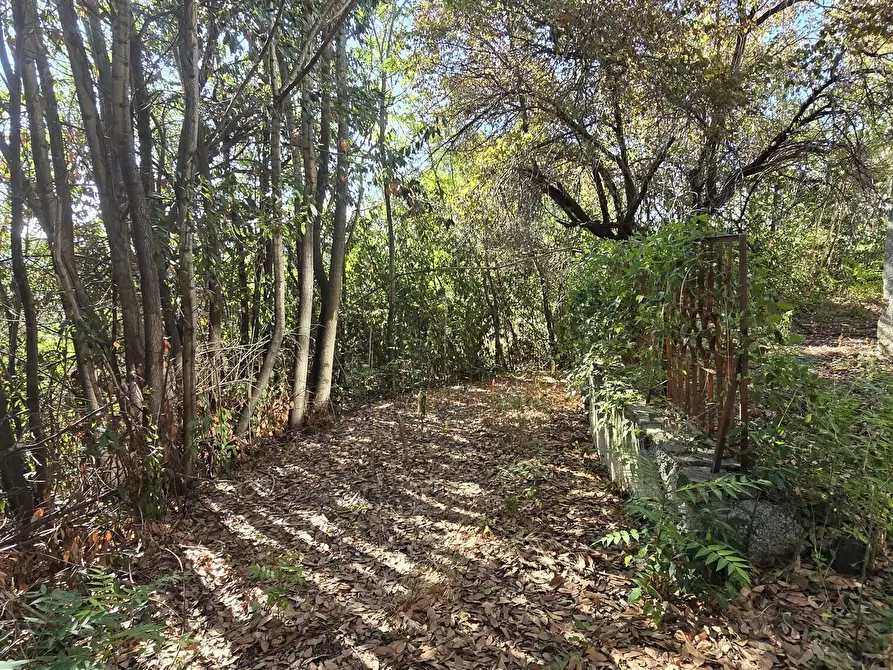 Immagine 16 di Villa in vendita  in via della stazione a Abbateggio
