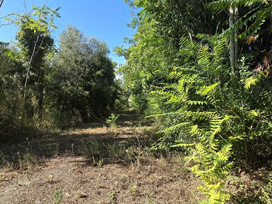 Immagine 12 di Villa in vendita  in via della stazione a Abbateggio