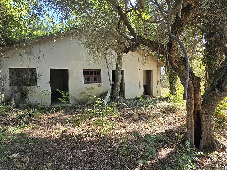 Immagine 8 di Villa in vendita  in via della stazione a Abbateggio