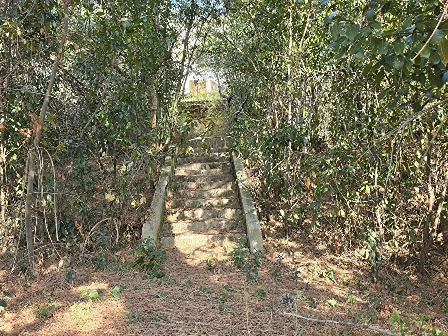 Immagine 20 di Villa in vendita  in via della stazione a Abbateggio