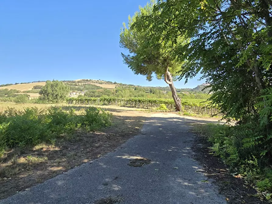 Immagine 15 di Villa in vendita  in via della stazione a Abbateggio