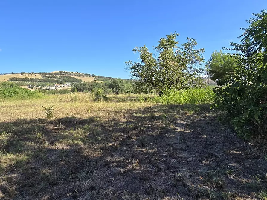 Immagine 6 di Villa in vendita  in via della stazione a Abbateggio