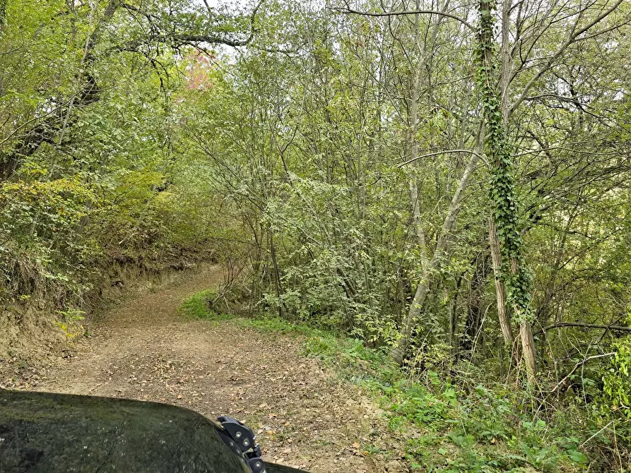 Immagine 41 di Villa in vendita  in Contrada Arci Cona Prato a Penne