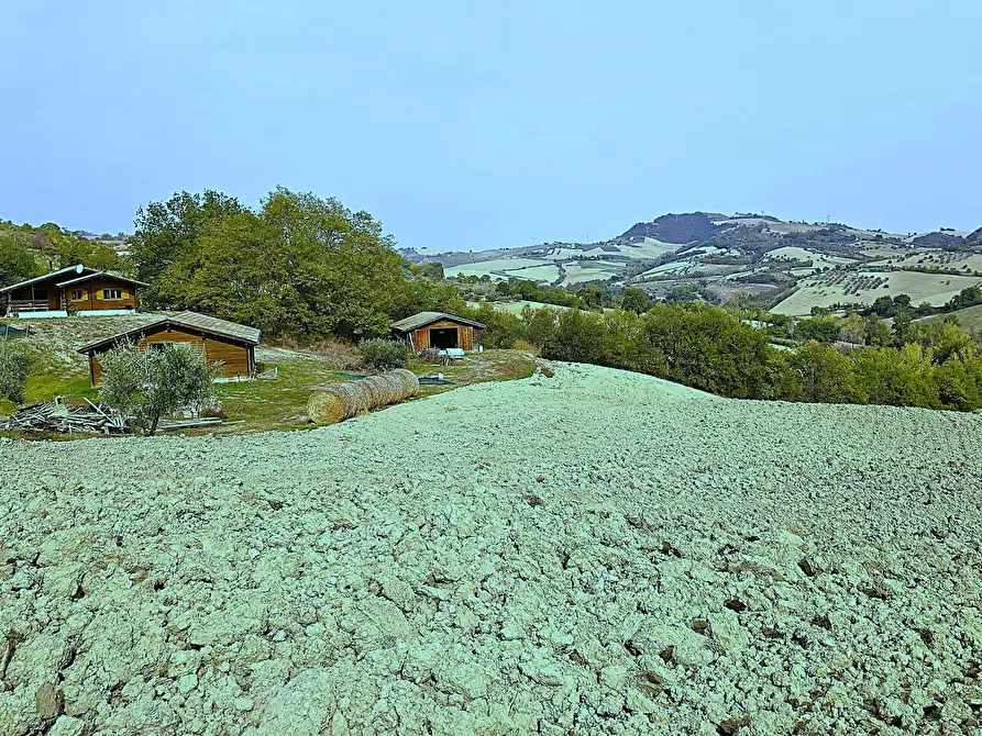 Immagine 10 di Villa in vendita  in Contrada Arci Cona Prato a Penne