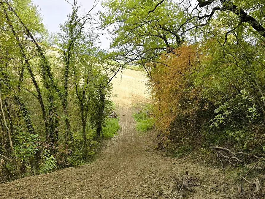 Immagine 42 di Villa in vendita  in Contrada Arci Cona Prato a Penne