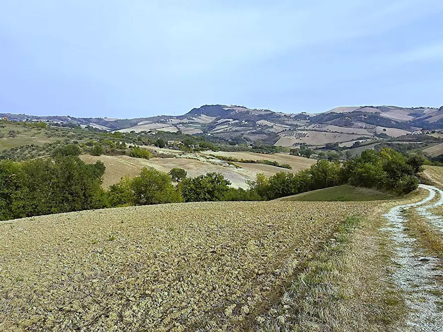 Immagine 43 di Villa in vendita  in Contrada Arci Cona Prato a Penne