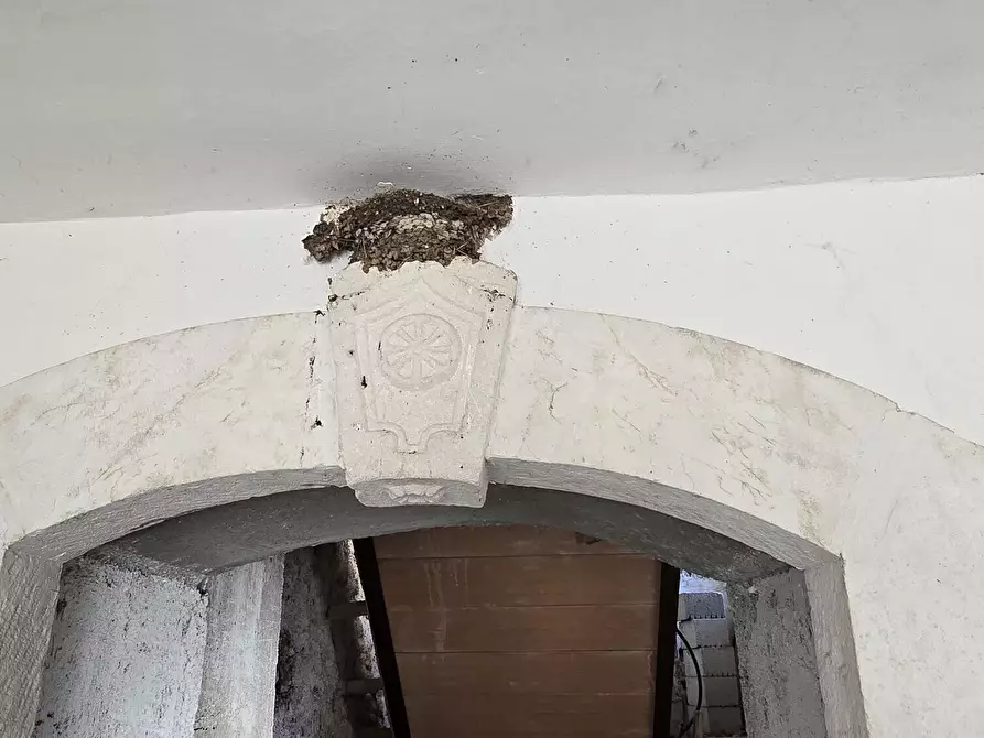 Immagine 20 di Villa in vendita  in Località Cavate a Sulmona