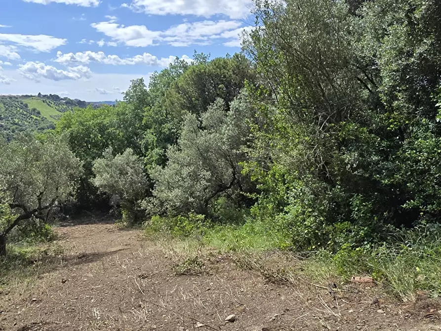 Immagine 10 di Terreno residenziale in vendita  in Strada Vicinale Agostinone a Montesilvano