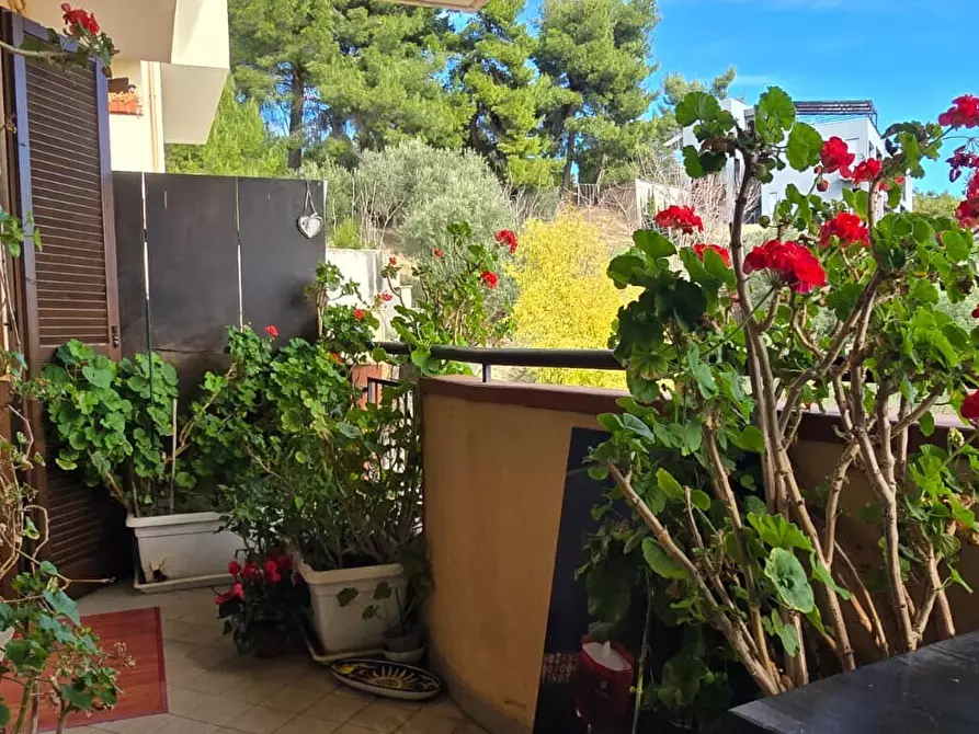 Immagine 25 di Appartamento in vendita  in Via A. Spagnuolo 32 a Montesilvano