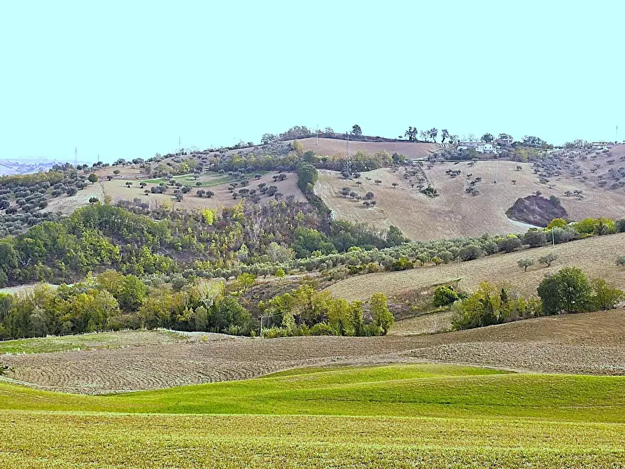 Immagine 5 di Villa in vendita  in Contrada Arci Cona Prato a Penne