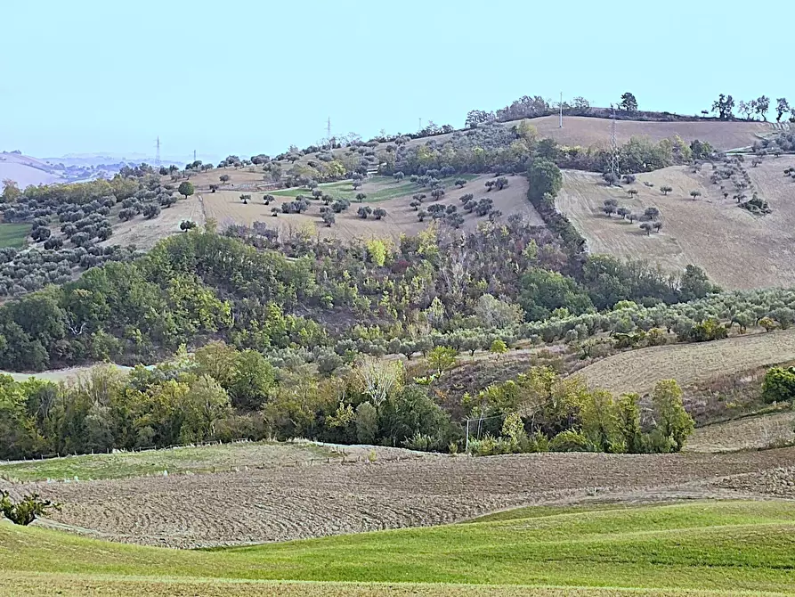 Immagine 37 di Villa in vendita  in Contrada Arci Cona Prato a Penne