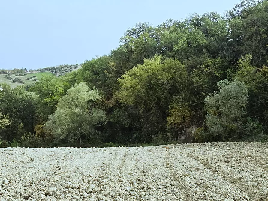 Immagine 40 di Villa in vendita  in Contrada Arci Cona Prato a Penne