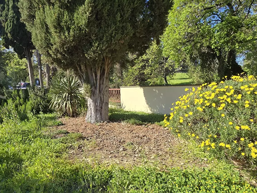 Immagine 10 di Villa in vendita  in Strada Colle Marino 55 a Pescara