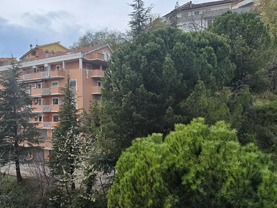 Immagine 27 di Appartamento in vendita  in San Camillo De Lellis 97 a Chieti