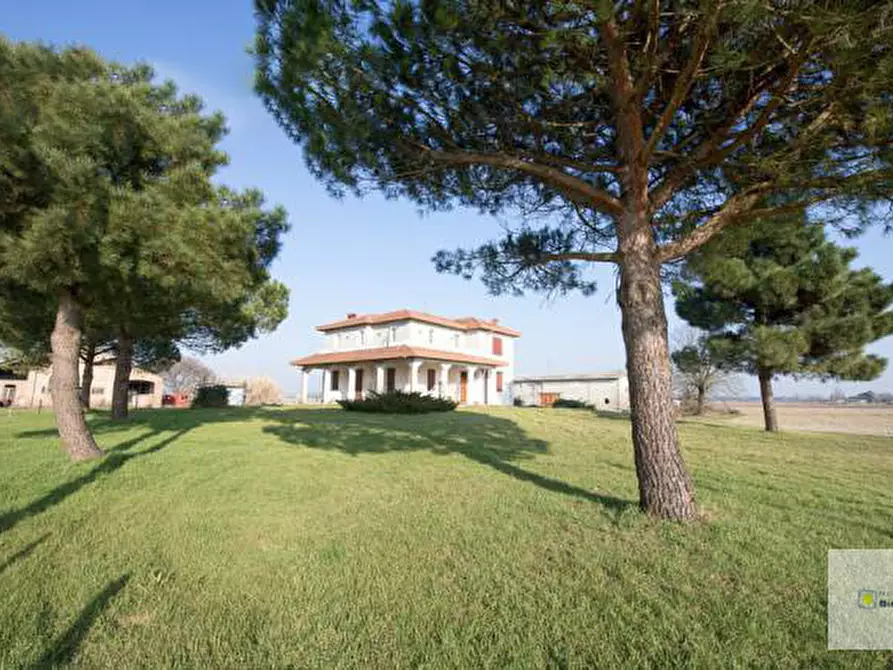 Immagine 2 di Abitazione tipica in vendita  in LOCALITA' FRONTE PRIMO TRONCO 52 a Codigoro