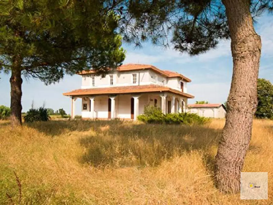 Immagine 4 di Abitazione tipica in vendita  in LOCALITA' FRONTE PRIMO TRONCO 52 a Codigoro