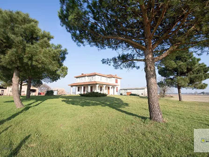 Immagine 3 di Abitazione tipica in vendita  in LOCALITA' FRONTE PRIMO TRONCO 52 a Codigoro