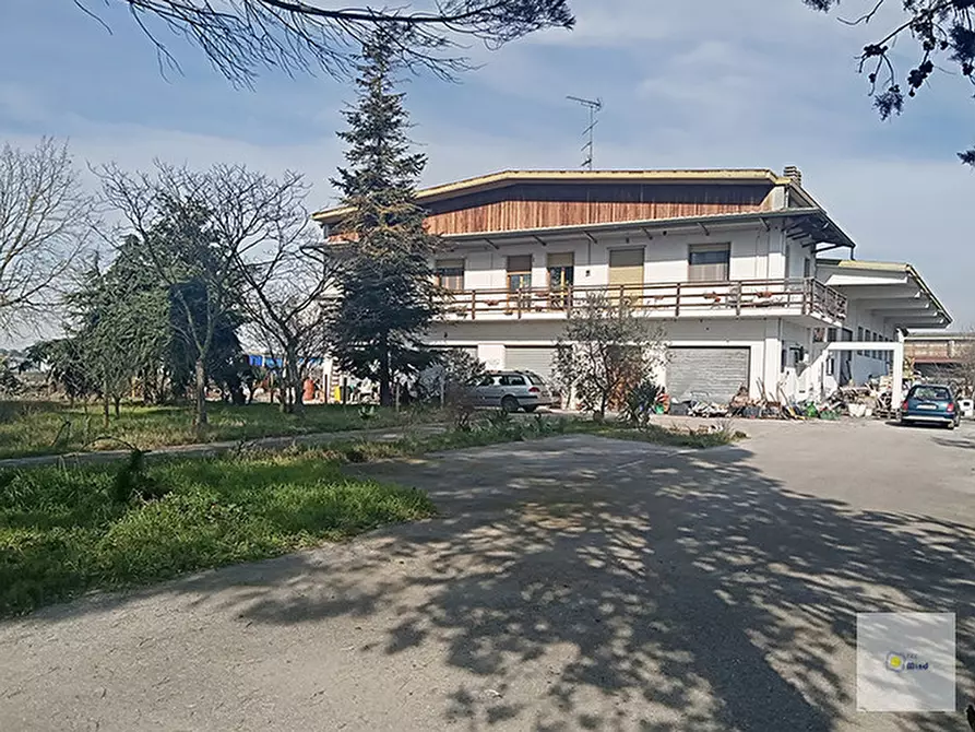 Immagine 2 di Appartamento in vendita  in Pontemaodino di Codigoro (FE) a Codigoro