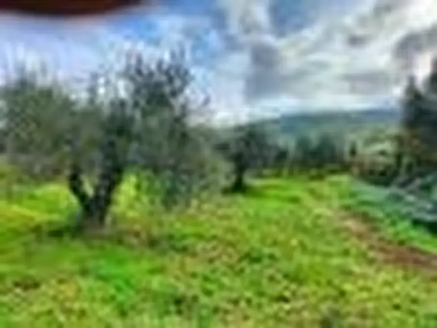 Terreno agricolo in vendita in Via del Lavoro-SantArcangelo a Magione