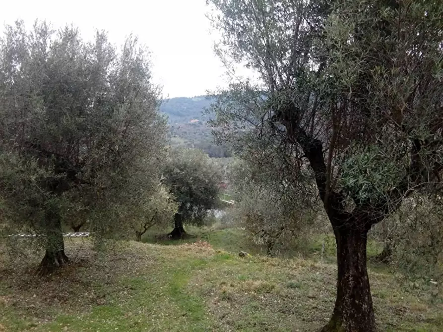 Terreno agricolo in vendita in Via del Lavoro-SantArcangelo a Magione