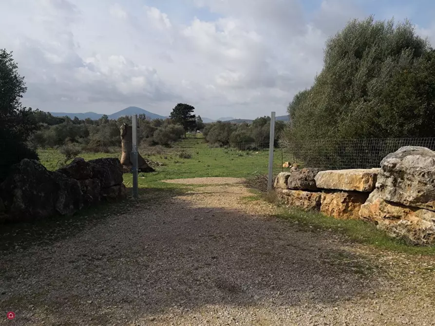 Terreno agricolo in vendita in Via Monte Uccari a Sassari