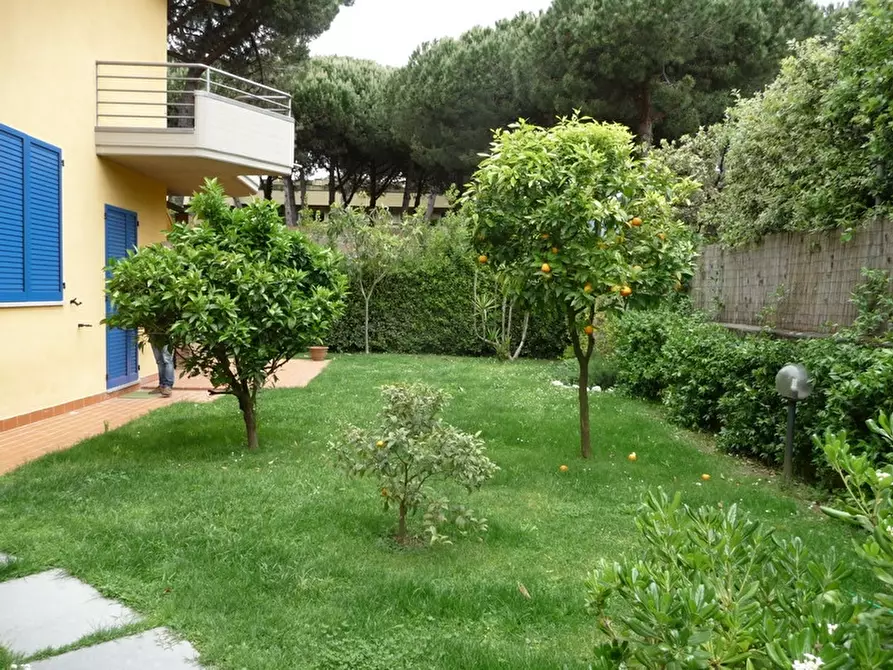 Casa bifamiliare in affitto in via Pinete a Montignoso