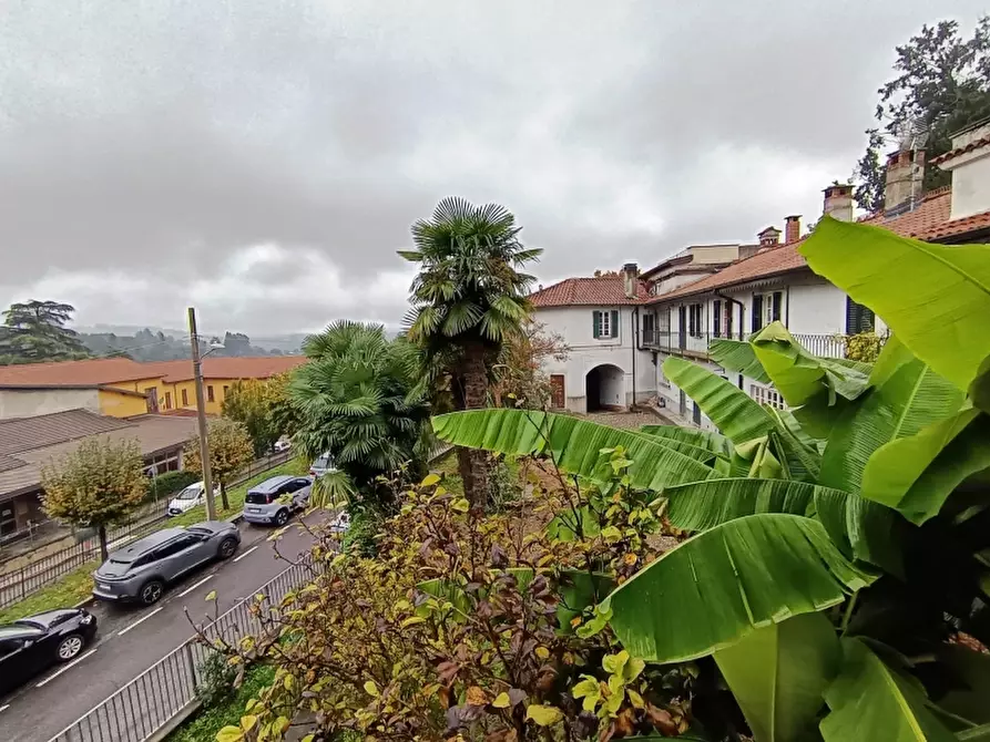 Immagine 31 di Casa indipendente in vendita  a Besozzo