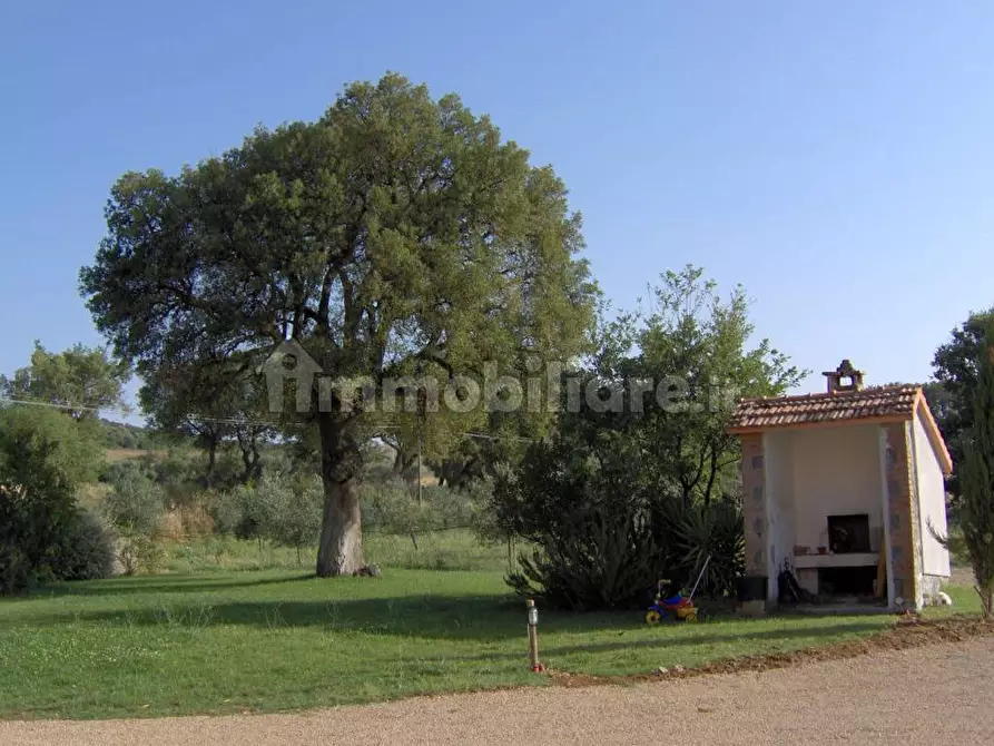Immagine 2 di Villa in affitto  in Strada Pescia Fiorentina Chiarone a Capalbio