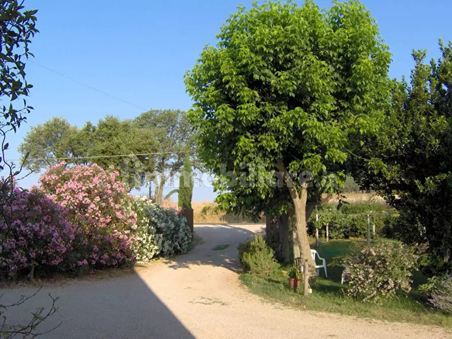 Immagine 3 di Villa in affitto  in Strada Pescia Fiorentina Chiarone a Capalbio