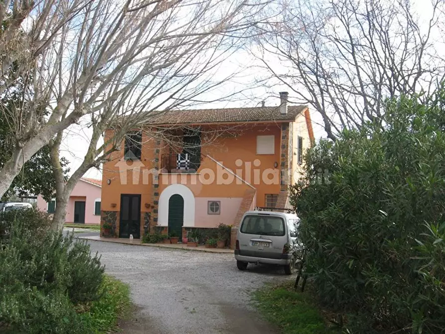 Immagine 2 di Rustico / casale in affitto  in Strada Pescia Fiorentina Chiarone a Capalbio