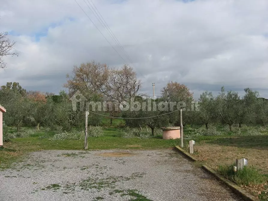 Immagine 3 di Rustico / casale in affitto  in Strada Pescia Fiorentina Chiarone a Capalbio