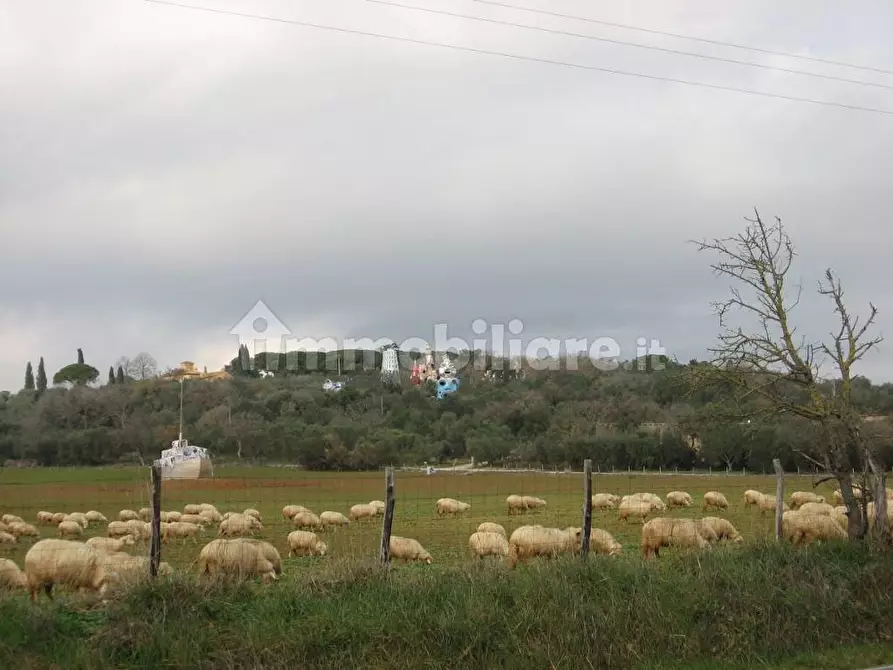 Immagine 4 di Rustico / casale in affitto  in Strada Pescia Fiorentina Chiarone a Capalbio